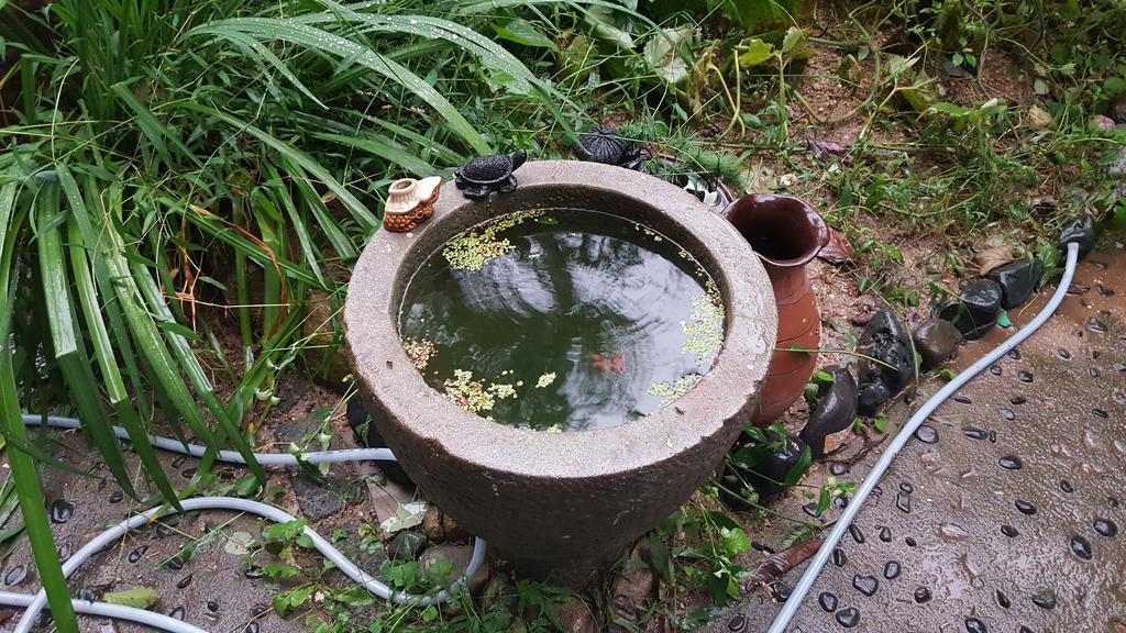 Camino B&B Changwon Luaran gambar
